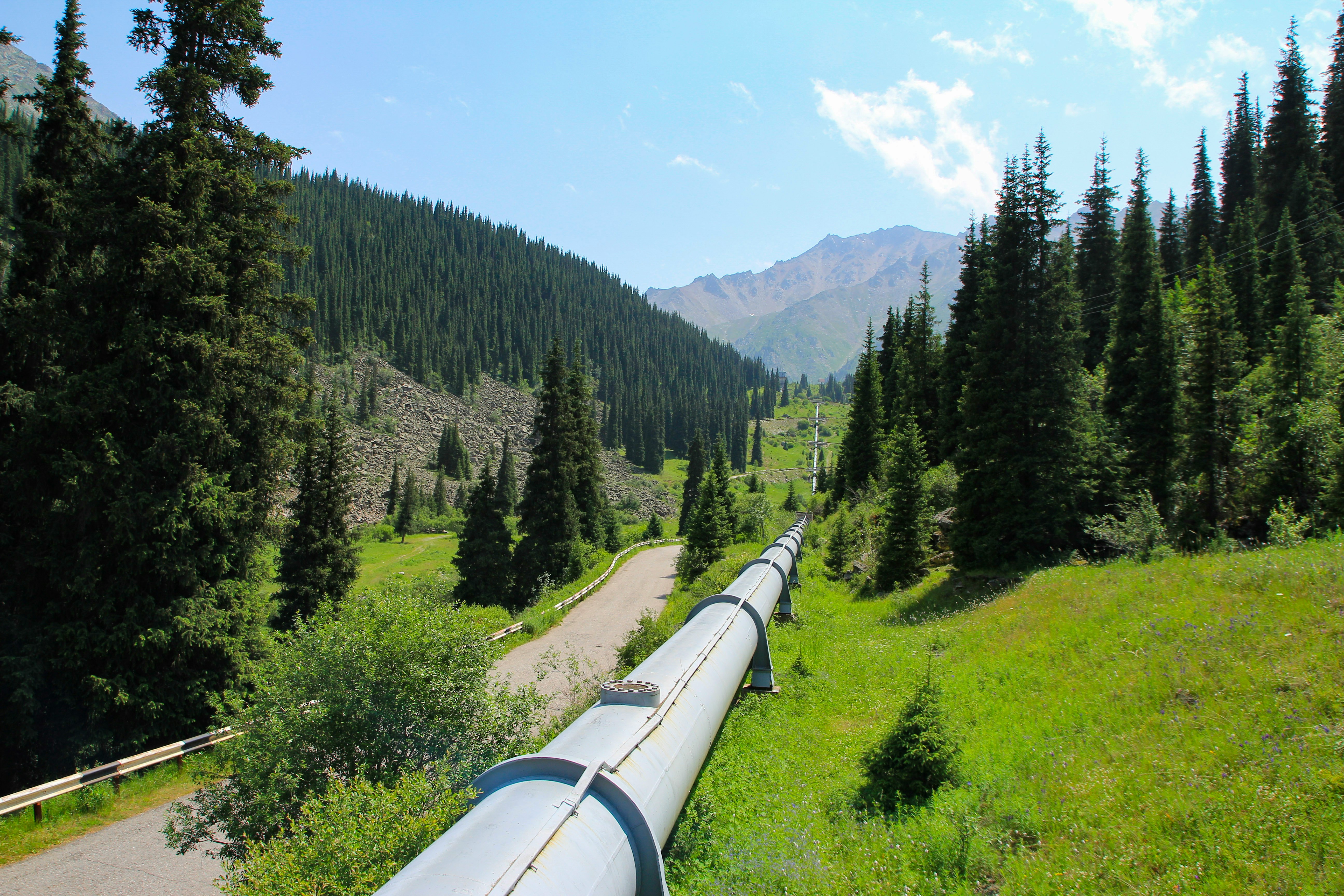 A pipeline runs through a lush, green mountain.